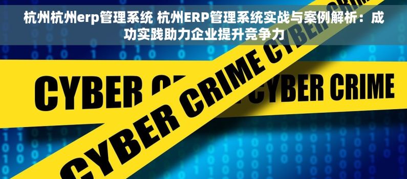 杭州杭州erp管理系统 杭州ERP管理系统实战与案例解析：成功实践助力企业提升竞争力