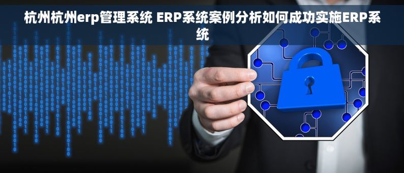 杭州杭州erp管理系统 ERP系统案例分析如何成功实施ERP系统