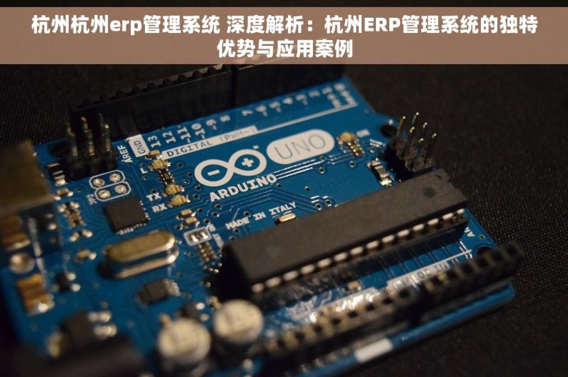 杭州杭州erp管理系统 深度解析：杭州ERP管理系统的独特优势与应用案例