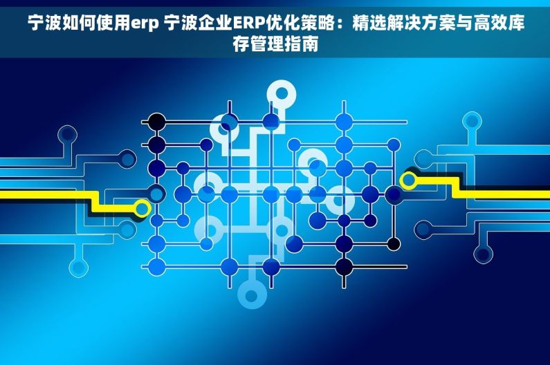 宁波如何使用erp 宁波企业ERP优化策略：精选解决方案与高效库存管理指南