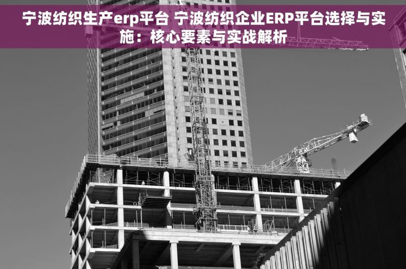 宁波纺织生产erp平台 宁波纺织企业ERP平台选择与实施：核心要素与实战解析