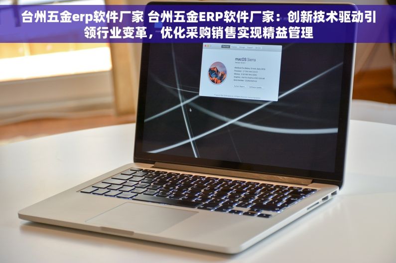 台州五金erp软件厂家 台州五金ERP软件厂家：创新技术驱动引领行业变革，优化采购销售实现精益管理