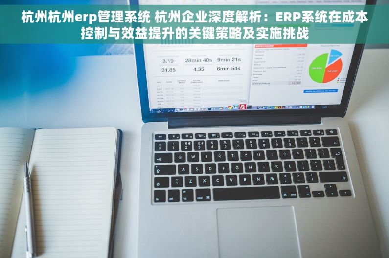 杭州杭州erp管理系统 杭州企业深度解析：ERP系统在成本控制与效益提升的关键策略及实施挑战