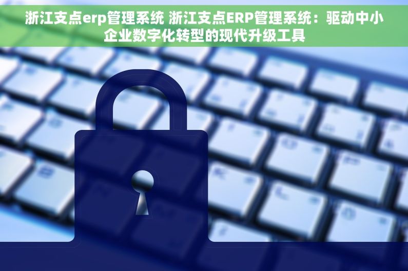 浙江支点erp管理系统 浙江支点ERP管理系统：驱动中小企业数字化转型的现代升级工具