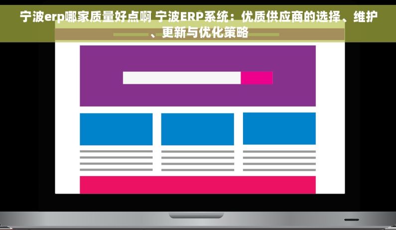 宁波erp哪家质量好点啊 宁波ERP系统：优质供应商的选择、维护、更新与优化策略