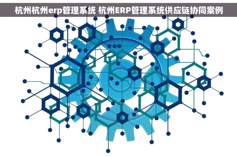 杭州杭州erp管理系统 杭州ERP管理系统供应链协同案例