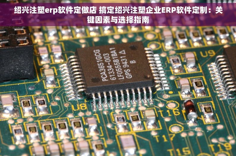 绍兴注塑erp软件定做店 搞定绍兴注塑企业ERP软件定制：关键因素与选择指南