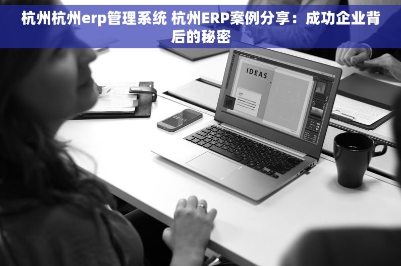 杭州杭州erp管理系统 杭州ERP案例分享：成功企业背后的秘密
