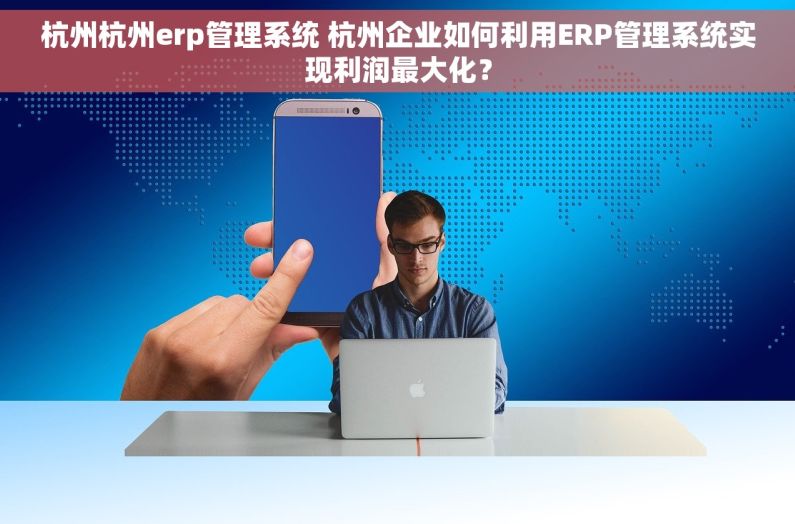 杭州杭州erp管理系统 杭州企业如何利用ERP管理系统实现利润最大化？