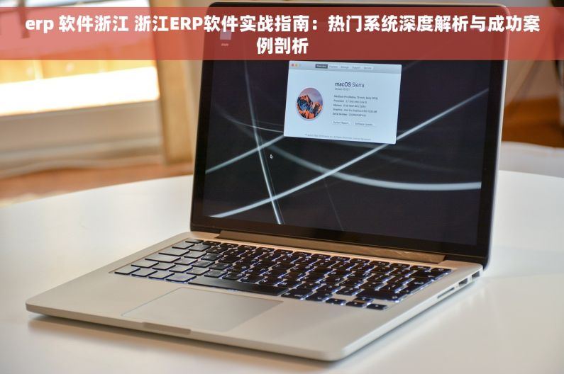 erp 软件浙江 浙江ERP软件实战指南：热门系统深度解析与成功案例剖析