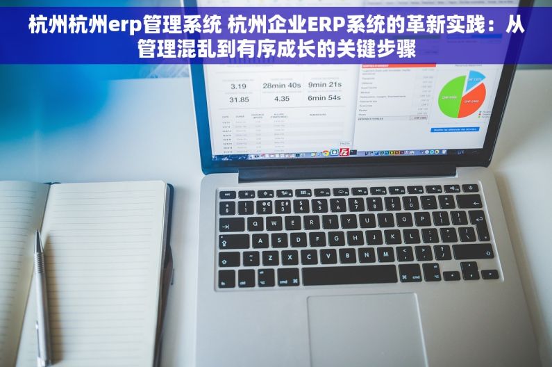 杭州杭州erp管理系统 杭州企业ERP系统的革新实践：从管理混乱到有序成长的关键步骤