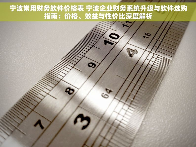 宁波常用财务软件价格表 宁波企业财务系统升级与软件选购指南：价格、效益与性价比深度解析