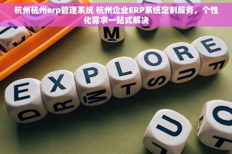 杭州杭州erp管理系统 杭州企业ERP系统定制服务，个性化需求一站式解决