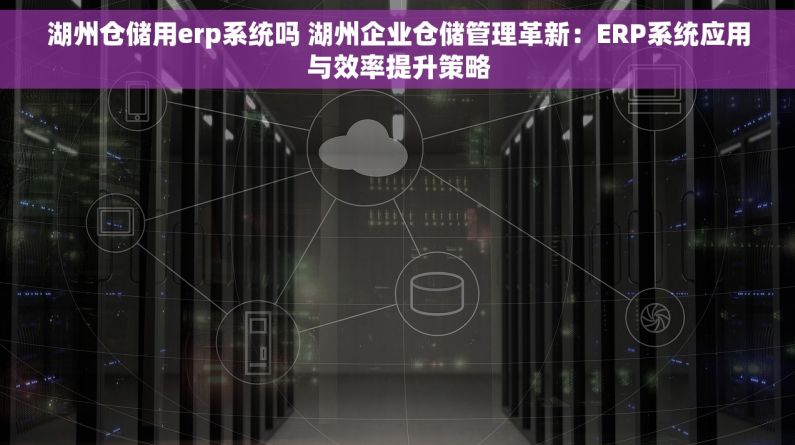 湖州仓储用erp系统吗 湖州企业仓储管理革新：ERP系统应用与效率提升策略