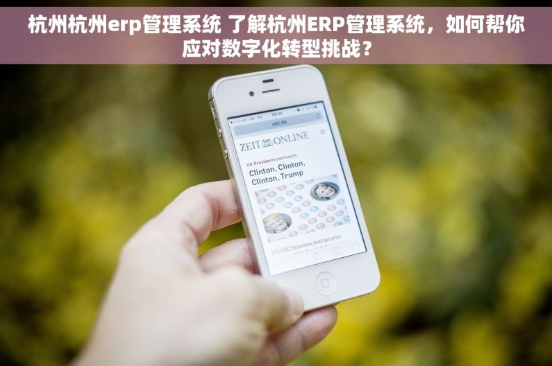 杭州杭州erp管理系统 了解杭州ERP管理系统，如何帮你应对数字化转型挑战？