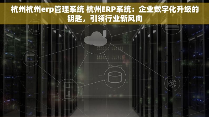 杭州杭州erp管理系统 杭州ERP系统：企业数字化升级的钥匙，引领行业新风向