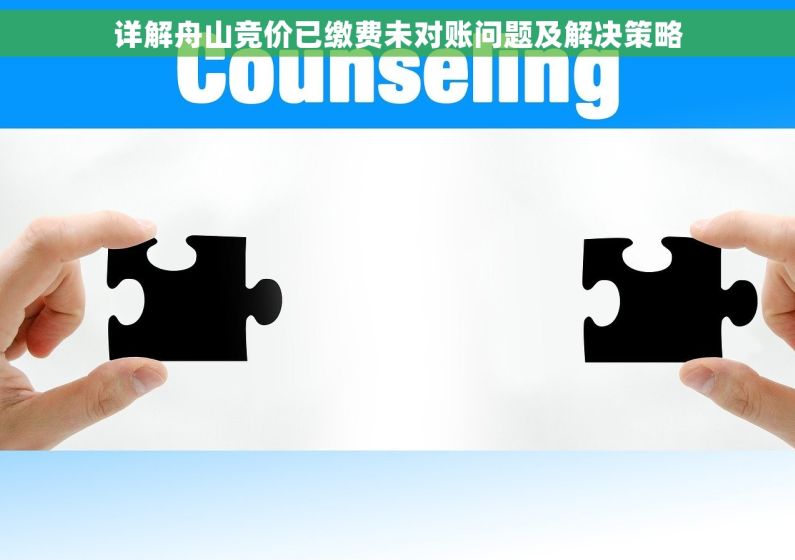 详解舟山竞价已缴费未对账问题及解决策略