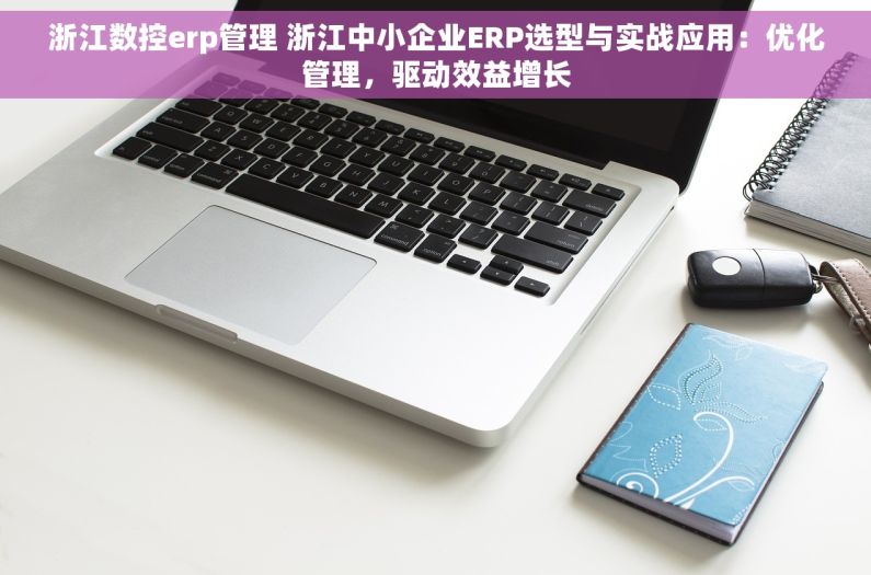 浙江数控erp管理 浙江中小企业ERP选型与实战应用：优化管理，驱动效益增长