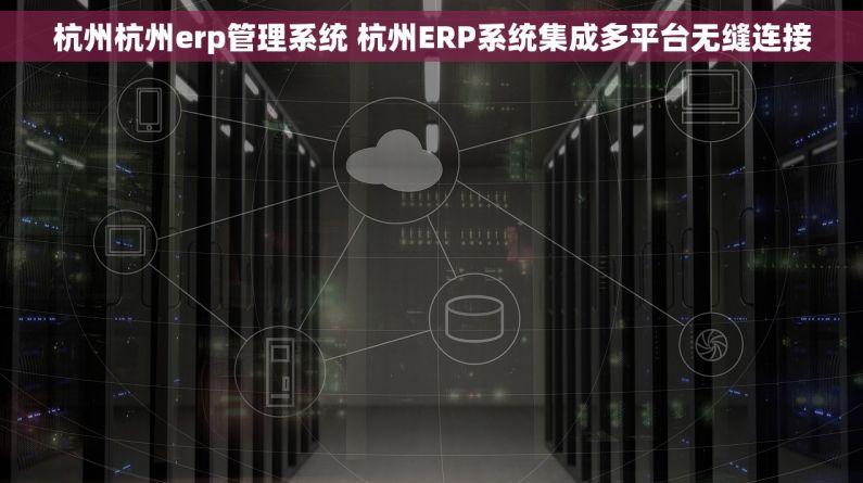 杭州杭州erp管理系统 杭州ERP系统集成多平台无缝连接