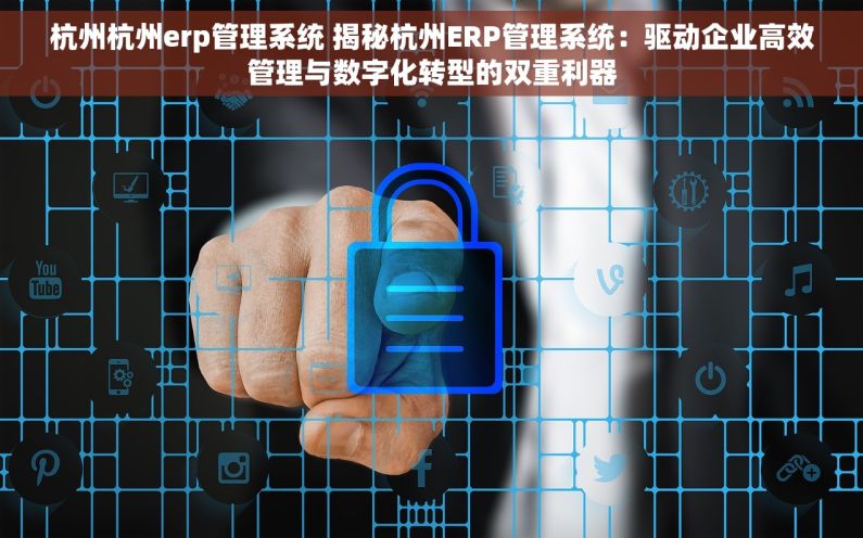 杭州杭州erp管理系统 揭秘杭州ERP管理系统：驱动企业高效管理与数字化转型的双重利器