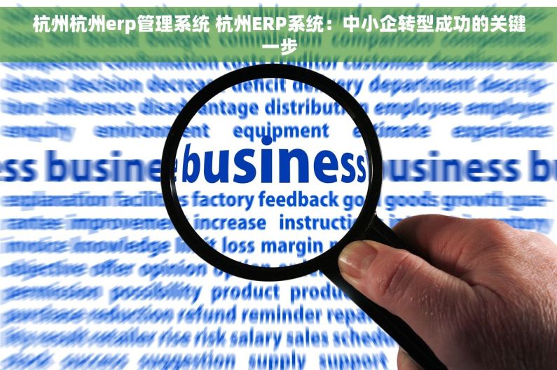 杭州杭州erp管理系统 杭州ERP系统：中小企转型成功的关键一步
