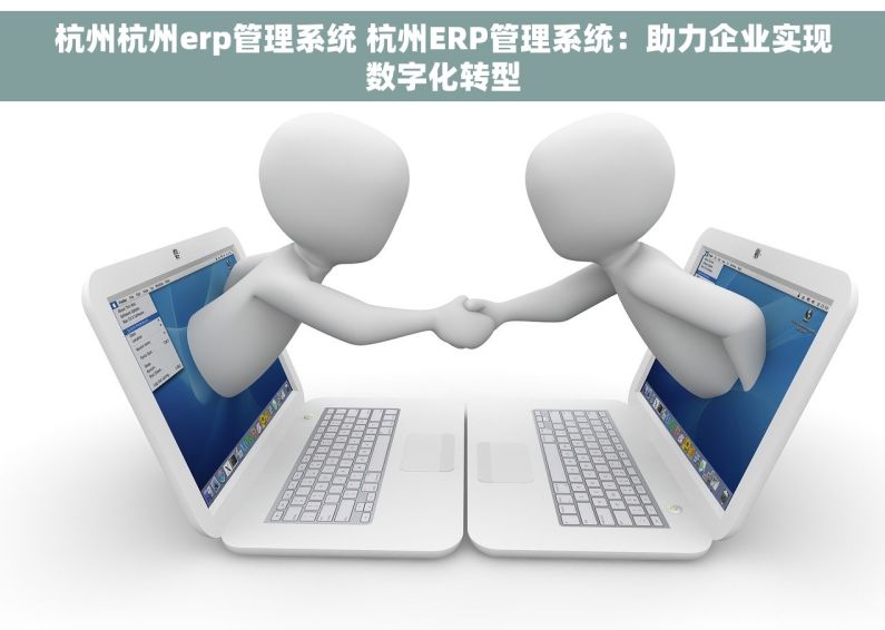 杭州杭州erp管理系统 杭州ERP管理系统：助力企业实现数字化转型