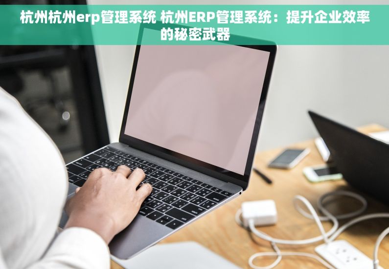 杭州杭州erp管理系统 杭州ERP管理系统：提升企业效率的秘密武器