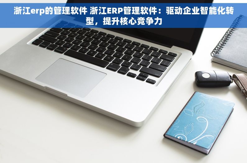 浙江erp的管理软件 浙江ERP管理软件：驱动企业智能化转型，提升核心竞争力