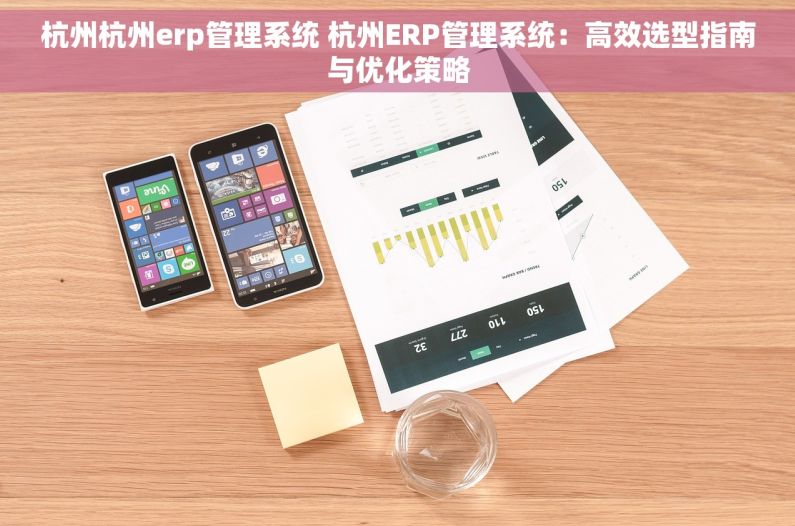 杭州杭州erp管理系统 杭州ERP管理系统：高效选型指南与优化策略