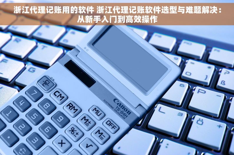 浙江代理记账用的软件 浙江代理记账软件选型与难题解决：从新手入门到高效操作