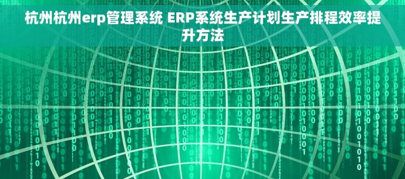 杭州杭州erp管理系统 ERP系统生产计划生产排程效率提升方法