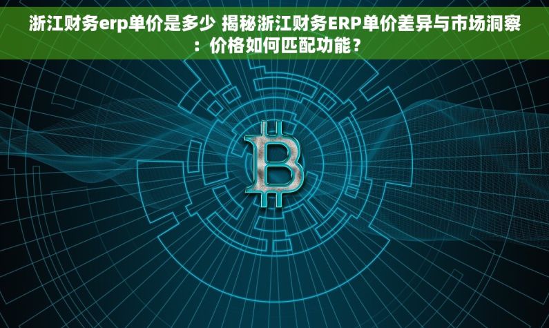 浙江财务erp单价是多少 揭秘浙江财务ERP单价差异与市场洞察：价格如何匹配功能？