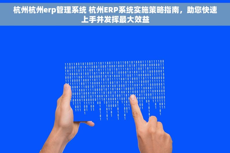 杭州杭州erp管理系统 杭州ERP系统实施策略指南，助您快速上手并发挥最大效益