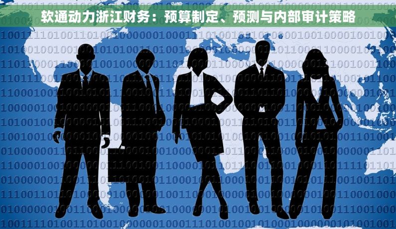 软通动力浙江财务：预算制定、预测与内部审计策略