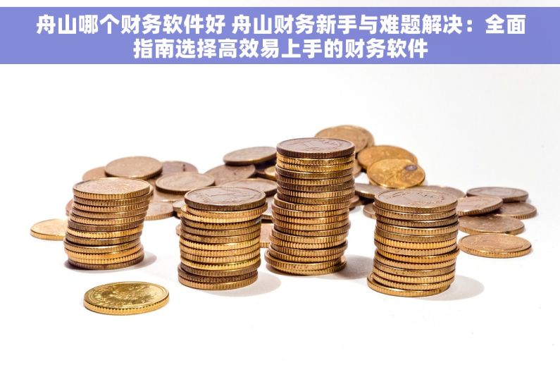 舟山哪个财务软件好 舟山财务新手与难题解决：全面指南选择高效易上手的财务软件