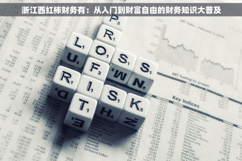 浙江西红柿财务有：从入门到财富自由的财务知识大普及