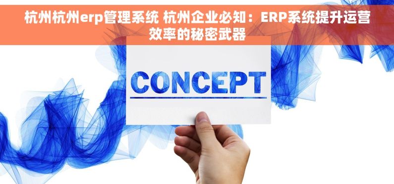 杭州杭州erp管理系统 杭州企业必知：ERP系统提升运营效率的秘密武器