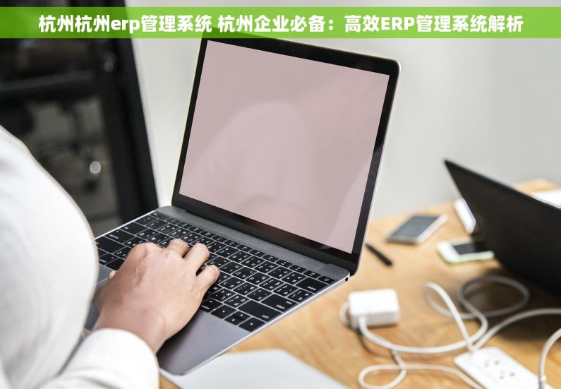 杭州杭州erp管理系统 杭州企业必备：高效ERP管理系统解析