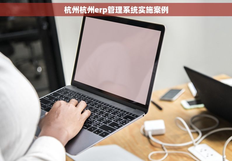 杭州杭州erp管理系统实施案例
