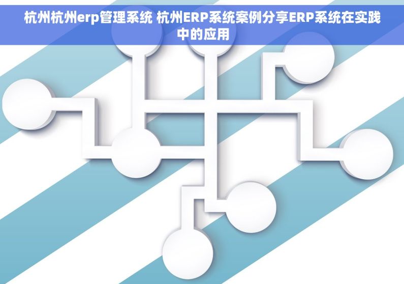 杭州杭州erp管理系统 杭州ERP系统案例分享ERP系统在实践中的应用