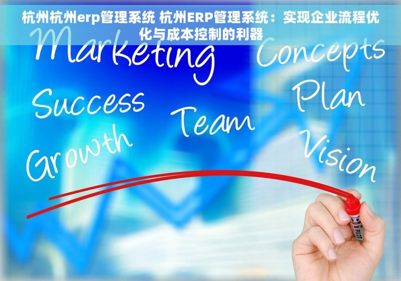 杭州杭州erp管理系统 杭州ERP管理系统：实现企业流程优化与成本控制的利器