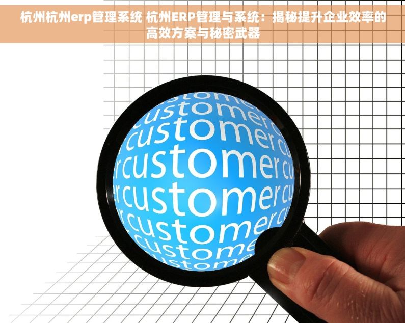 杭州杭州erp管理系统 杭州ERP管理与系统：揭秘提升企业效率的高效方案与秘密武器