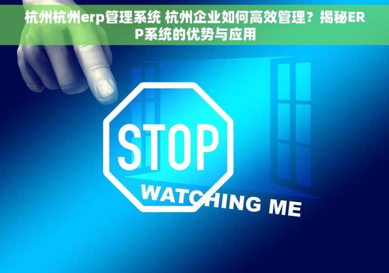 杭州杭州erp管理系统 杭州企业如何高效管理？揭秘ERP系统的优势与应用