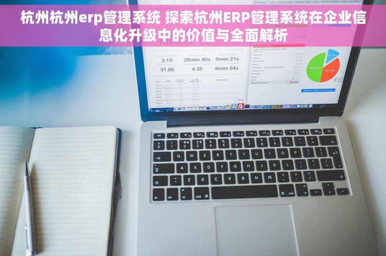 杭州杭州erp管理系统 探索杭州ERP管理系统在企业信息化升级中的价值与全面解析