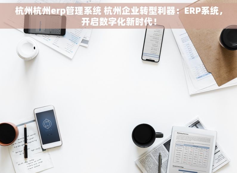 杭州杭州erp管理系统 杭州企业转型利器：ERP系统，开启数字化新时代！
