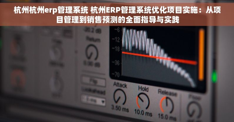 杭州杭州erp管理系统 杭州ERP管理系统优化项目实施：从项目管理到销售预测的全面指导与实践