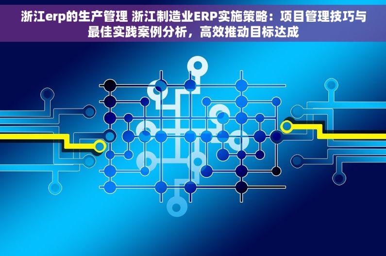 浙江erp的生产管理 浙江制造业ERP实施策略：项目管理技巧与最佳实践案例分析，高效推动目标达成