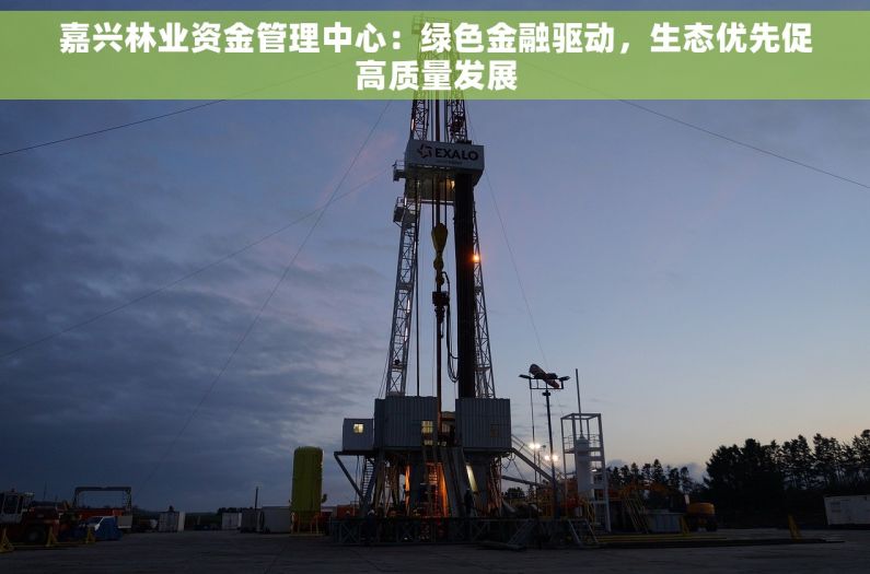 嘉兴林业资金管理中心：绿色金融驱动，生态优先促高质量发展
