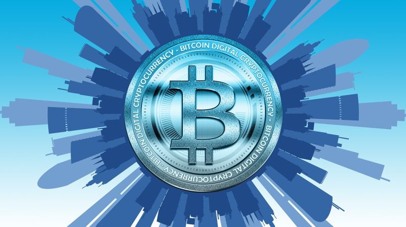 嘉兴林业资金管理中心：绿色金融驱动，生态优先促高质量发展