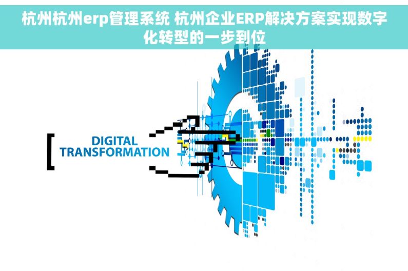 杭州杭州erp管理系统 杭州企业ERP解决方案实现数字化转型的一步到位